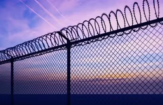 Barbed Fence Image